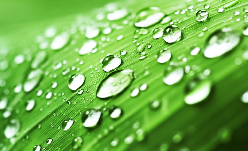 Donald Trump: US crypto investor, policy setter, and America's digital asset future.